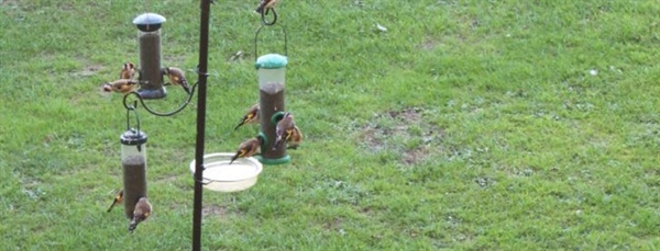 What makes you stand out from the crowd?