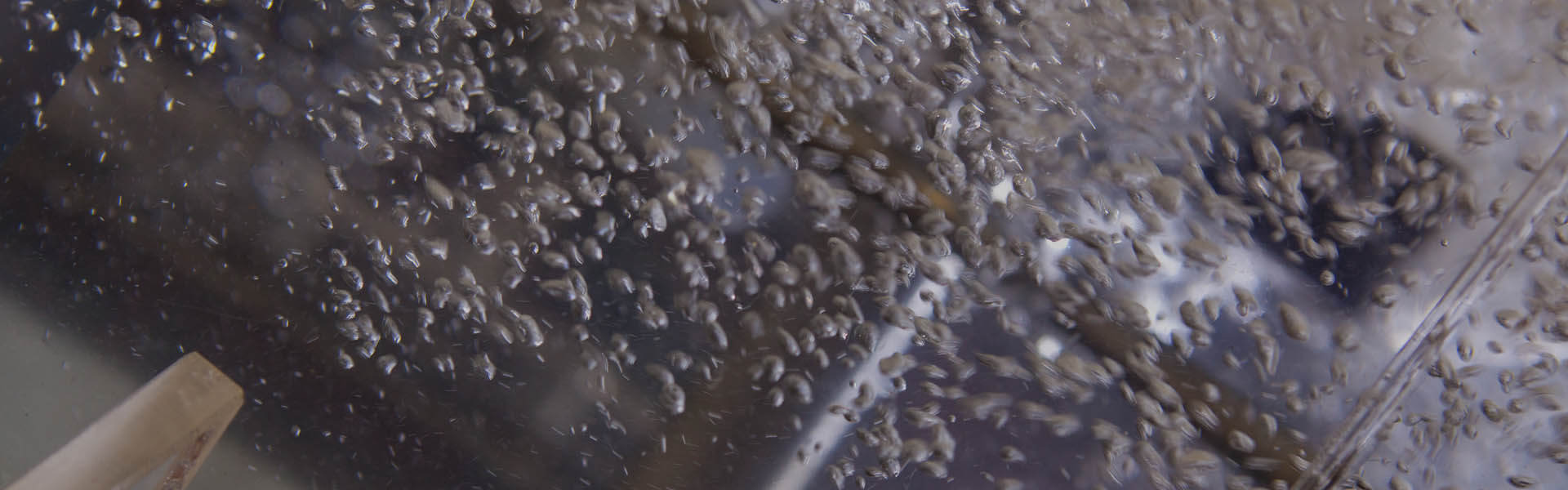 Fluid Mixing Processes